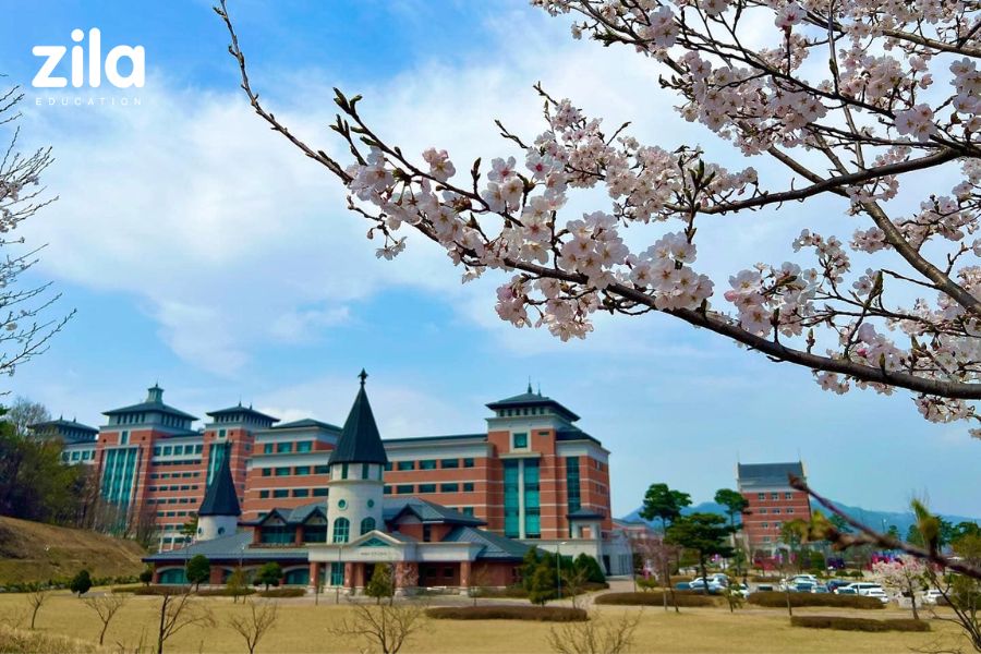 Trường Đại học Kyungdong Hàn Quốc (경동대학교) - Zila Education