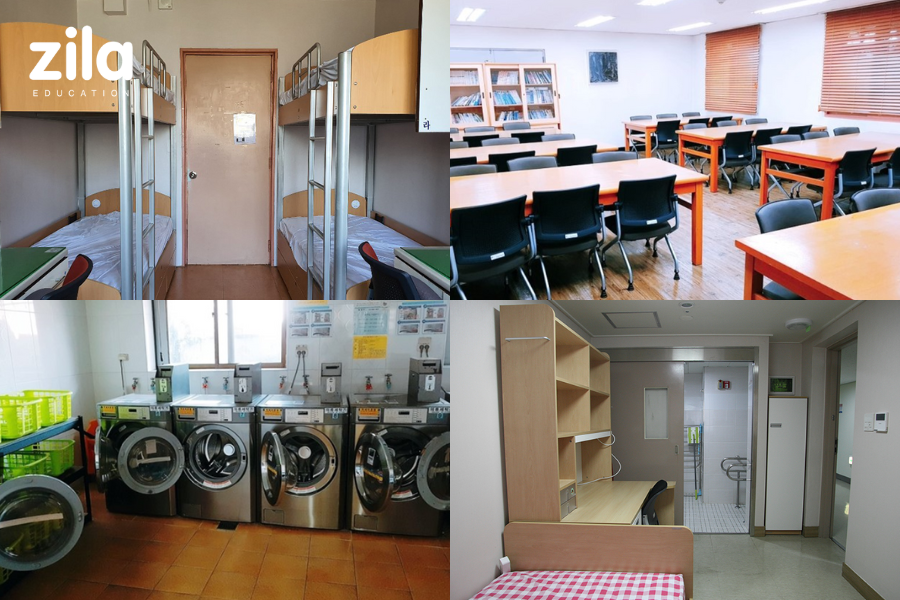 Đại học Seowon Hàn Quốc - 서원대학교 - Zila Education