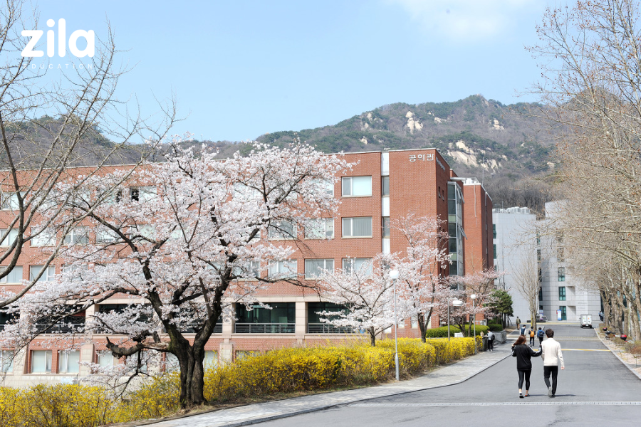 Trường Đại học Kookmin Hàn Quốc (국민대학교) - Zila Education