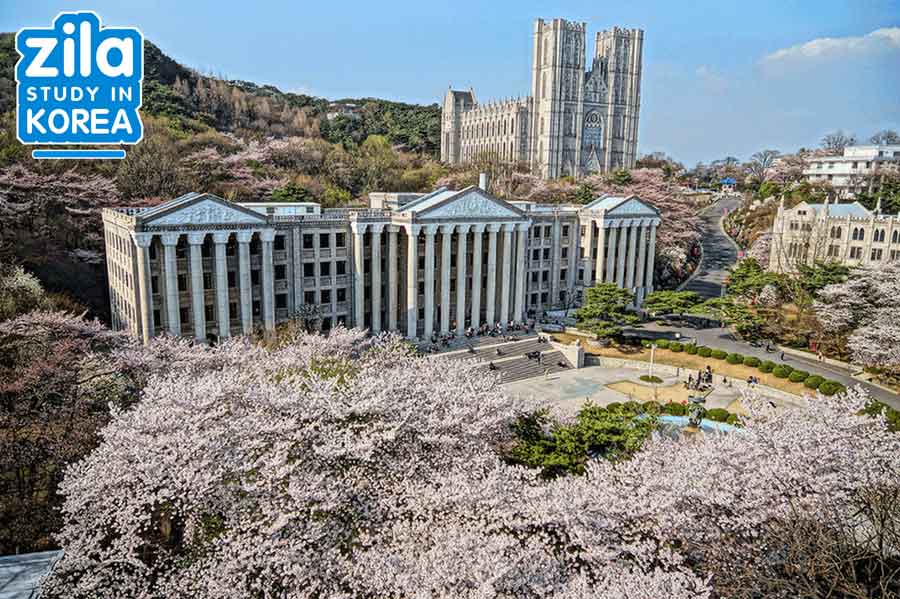 [2023] TUYỂN SINH DU HỌC HÀN QUỐC BẰNG TIẾNG ANH 100%