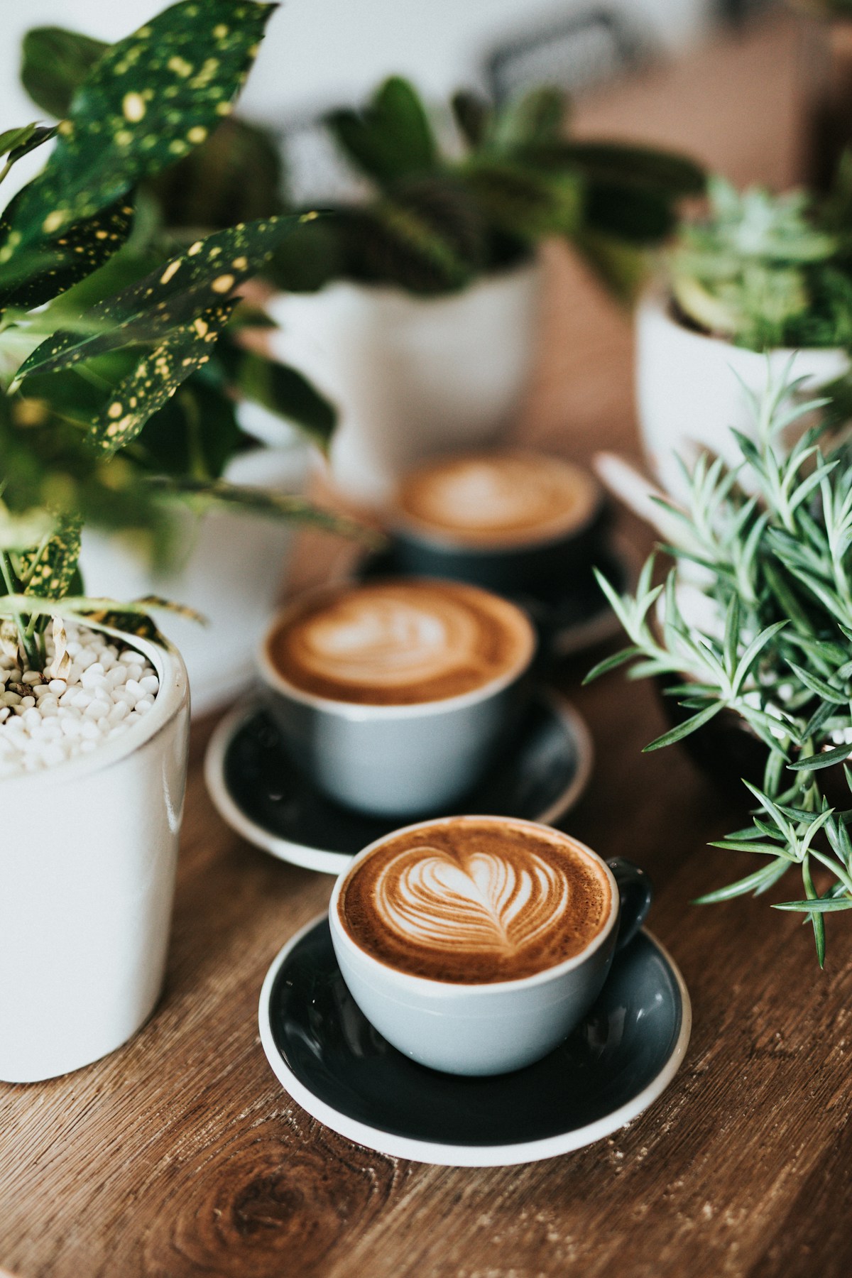 Văn Hóa Cafe Hàn Quốc Có Gì Mà Khiến Cả Thế Giới Phát Cuồng? 7 Quán ‘Đỉnh Chóp’ Ở Seoul Nhất Định Phải Thử!