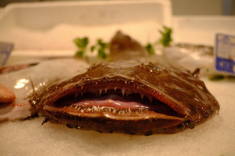 Cá Mặt Quỷ Hầm Cay (Agujjim) – Món Nhậu ‘Quốc Dân’ Của Hàn Quốc Có Gì Mà 90% Dân Nhậu Mê? 7 Bí Mật Khiến Bạn Nghiện Ngay Miếng Đầu!